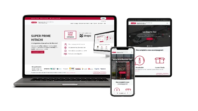 site web odoo ana conseil